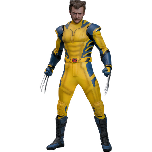 Wolverine Sixth Scale Figure