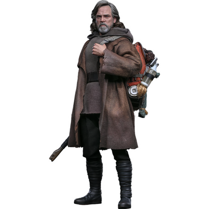 Luke Skywalker (Artisan Edition) Sixth Scale Figure