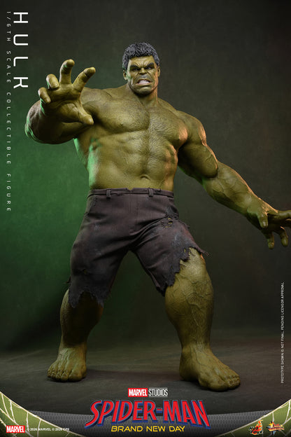Hulk Sixth Scale Figure