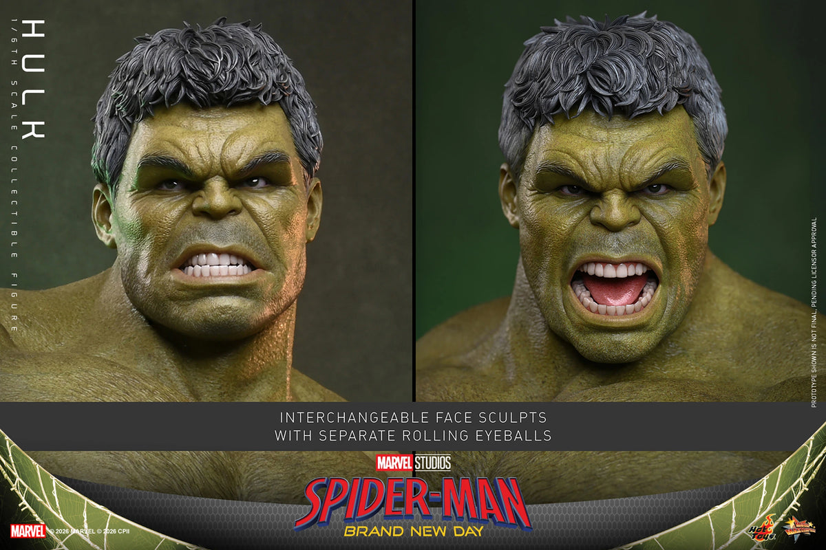Hulk Sixth Scale Figure