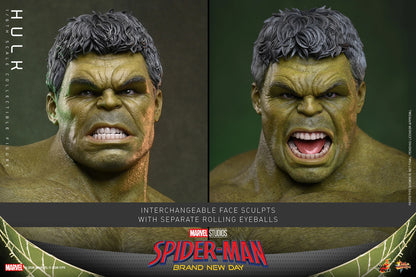 Hulk Sixth Scale Figure