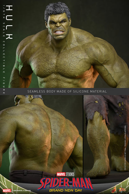 Hulk Sixth Scale Figure