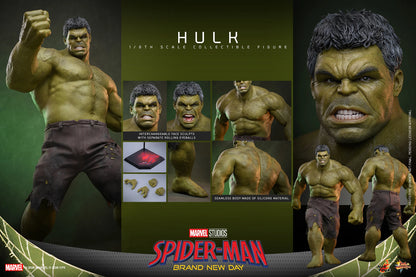 Hulk Sixth Scale Figure