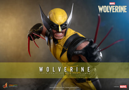 Wolverine Sixth Scale Figure