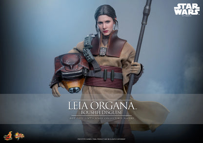 Leia Organa (Boushh Disguise)™ Sixth Scale Figure