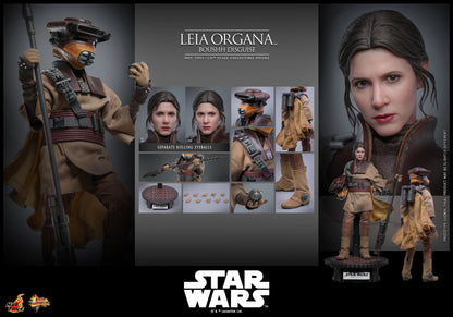 Leia Organa (Boushh Disguise)™ Sixth Scale Figure