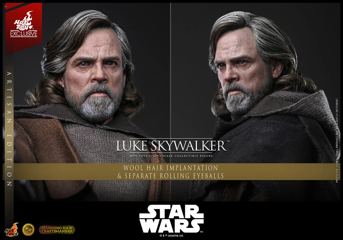 Luke Skywalker (Artisan Edition) Sixth Scale Figure