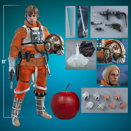 Luke Skywalker™ (Snowspeeder Pilot)