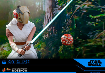 Rey and D-O Sixth Scale Figure